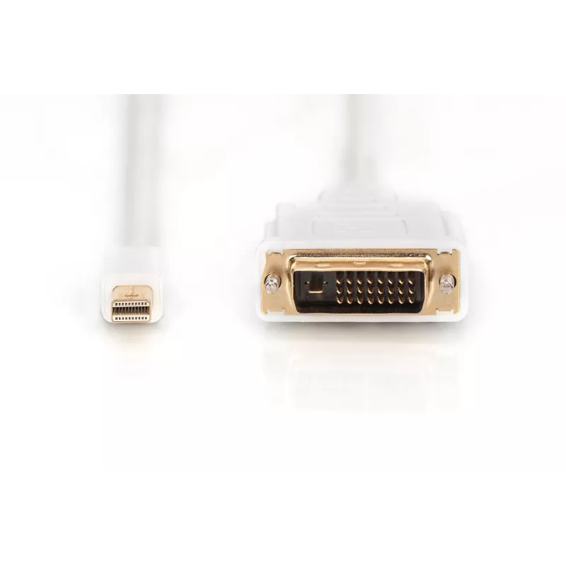 Kabelis DisplayPort 1.1a mini DP-DVI tipa MM 2,0m