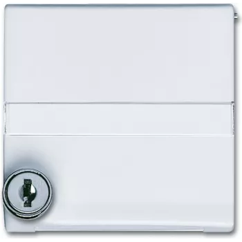 Busch Jaeger 2118 GKSLN/11-34 Balts (1710-0-3793)