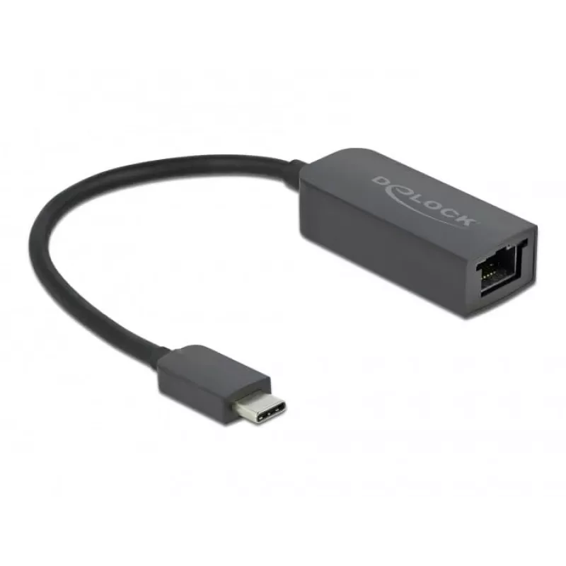 Adapter USB Type-C male to 2.5 Gigabit LAN kompakts DeLOCK 66645