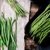 Nomad Green pundurpupu sēklas, 50 g - dārzeņu sēklas