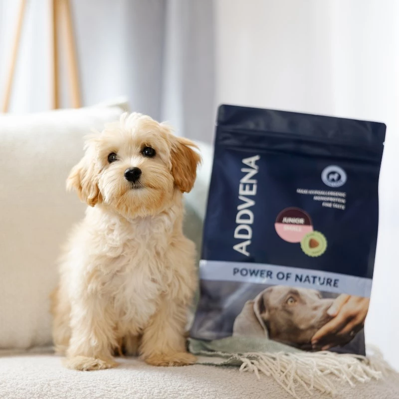 ADDVENA Power of Nature Junior Small Lamb - sausā suņu barība - 10kg
