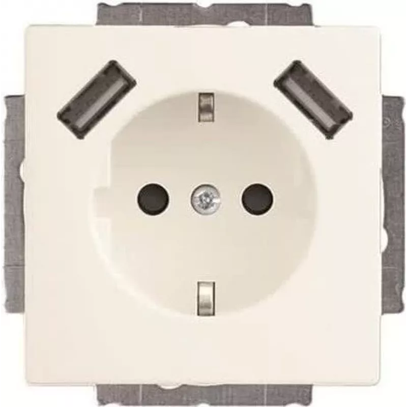 Busch-Jaeger SCHUKO-2x USB kontaktligzda 20 EUCB2USB-884 (2CKA002011A6277)