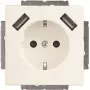 Busch-Jaeger SCHUKO-2x USB kontaktligzda 20 EUCB2USB-884 (2CKA002011A6277)