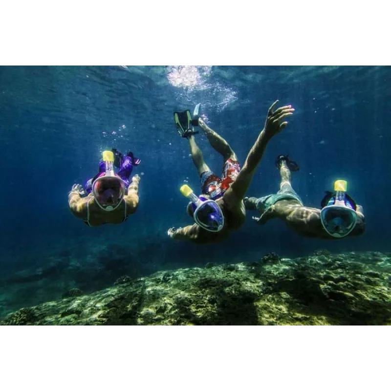 Pilnās sejas snorkelēšanas maska Free Breath M2068G S/M — Rozā, pretaizvīšanas, panorāmas skats