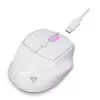 Sharkoon OfficePal M25W bezvadu biroja pele, labā roka, 4000 DPI