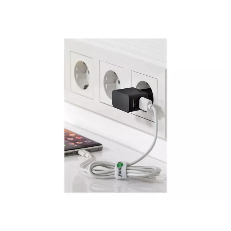 Wentronic goobay Dual USB lādētājs - Barošanas bloks - 12 W - 2,4 A - 2 izejas porti (USB) - Melns (44951)