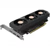 ZOTAC GeForce RTX 5050 Low Profile 8GB GDDR6 grafikas karte