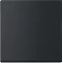 BUSCH JAEGER svirslēdža vienvirziena viedais slēdzis 6735 BT-885 (2CKA006730A0150)
