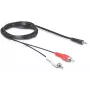 Audio kabelis 3,5mm/2 x RCA DeLOCK 84212