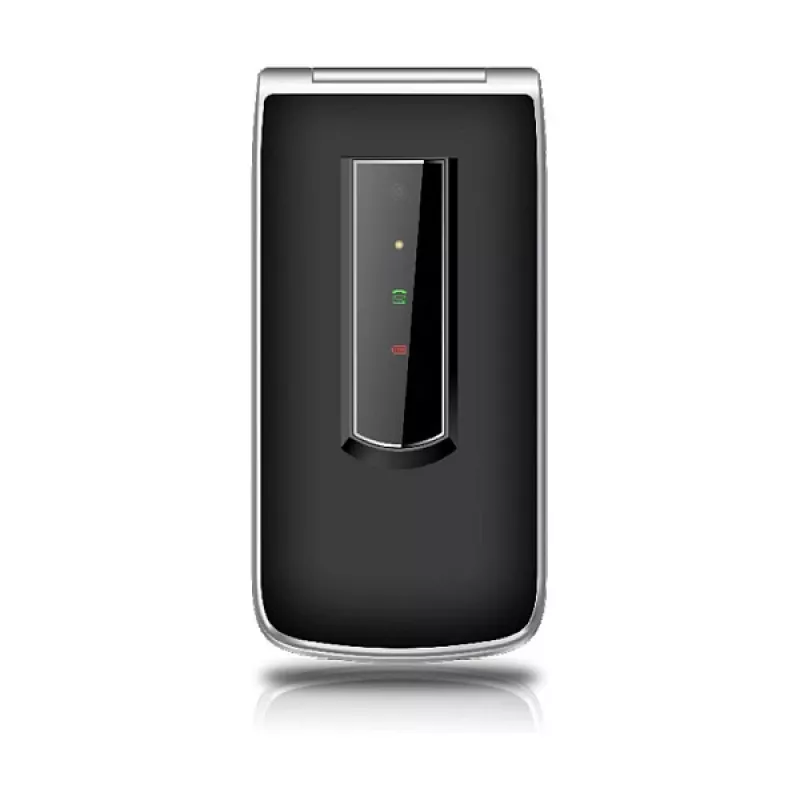 Beafon SL495LTE_EU003B Sudrabs