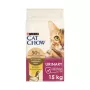 Purina Cat Chow Special Care Urinary Tract Health - kaķu sausā barība 15 kg pieaugušiem kaķiem ar vistu