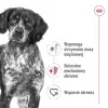 Sausā suņu barība Royal Canin SHN Medium Adult 15 kg — pilnvērtīgs uzturs pieaugušiem vidējo šķirņu suņiem, mājputnu gaļa, 25% olbaltumvielu, 14% tauku