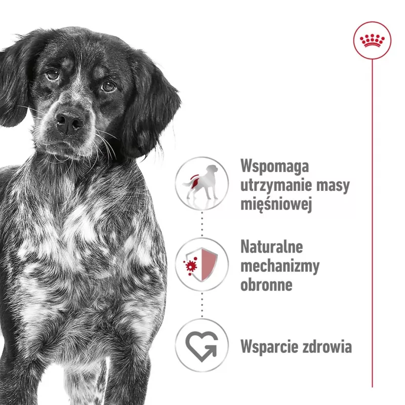 Sausā suņu barība Royal Canin SHN Medium Adult 15 kg — pilnvērtīgs uzturs pieaugušiem vidējo šķirņu suņiem, mājputnu gaļa, 25% olbaltumvielu, 14% tauku