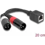 DeLOCK audio kabelis 0.2 m RJ-45 2 x XLR (3-pin) melns 88179