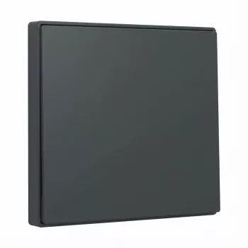 Slēdža svira Gira System 55 Wippe Anthracite 329628 modulārajiem rāmjiem