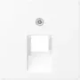 Jung Cover Plate f.IAE/UAE-Connection Socket A569-1BFPLUAWWM (A569-1BFPLUAWWM)