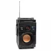 Squeak Bassblaster Bluetooth 5.1 skaļrunis, FM radio, MP3 atskaņotājs SQ1001