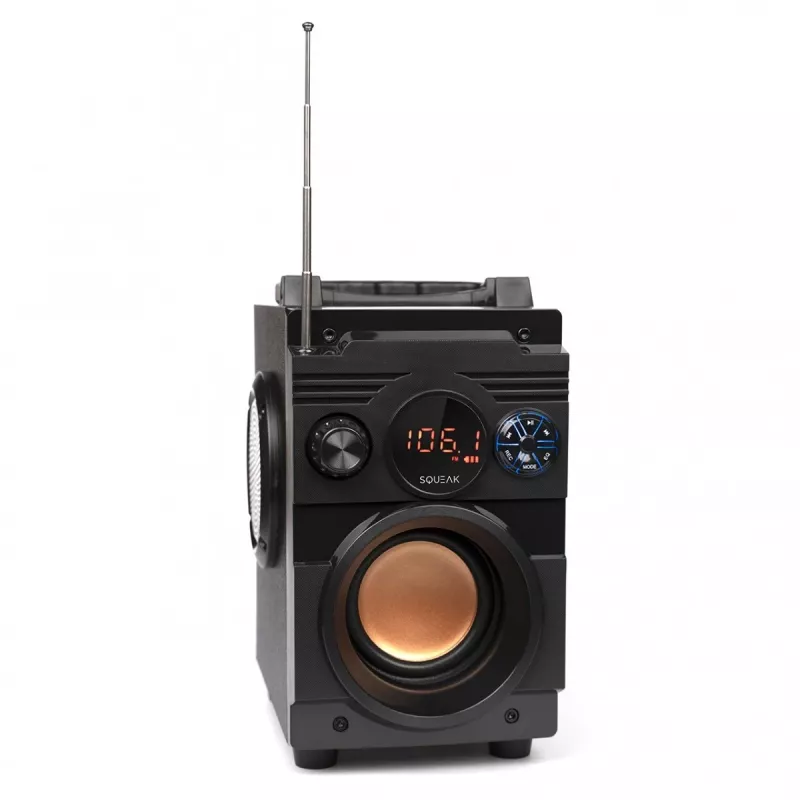 Squeak Bassblaster Bluetooth 5.1 skaļrunis, FM radio, MP3 atskaņotājs SQ1001