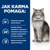 HILL'S Prescription Diet Liver Care - sausā kaķu barība - 1,5kg