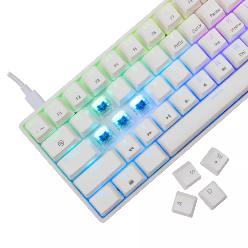 Vadu mehāniskā tastatūra White Shark Shinobi-2 (GK-004221) — zilie slēdži, balta, ASV izkārtojums