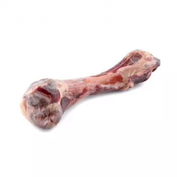 MACED Parma šķiņķa kauls - suņu košļājamā - 330g