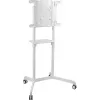 Peerless pārvietojamais ratiņš TRVT-FLIP2 (9403109800)