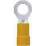 Lapp 63104070 sarkans