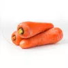 Sēklu lente Apte Marchew LENKA 6 m — burkānu sēklu lente sēšanai