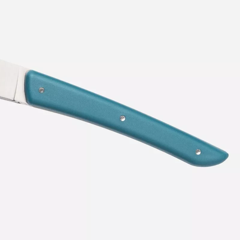 Steika nazis Berkel KCO4SW11SRPBL Nerūsējošais tērauds 4 gab. 11 cm asmens