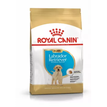 ROYAL CANIN SHN Breed Labrador Junior sausā suņu barība - 12 kg