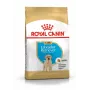 ROYAL CANIN SHN Breed Labrador Junior sausā suņu barība - 12 kg
