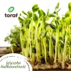 TORAF Pavasara Garšu Sēklu Komplekts - 12 Paciņas