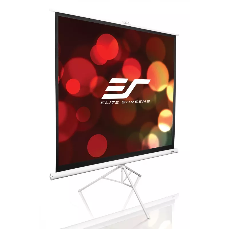 Statīva projekcijas ekrāns Elite Screens T113NWS1 2,87 m 1:1