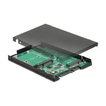 Interfeisa karte DeLOCK 62866 iekšējā M.2 mSATA