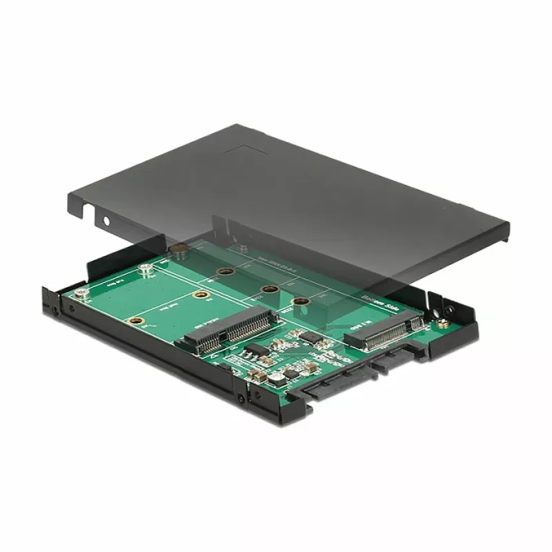 Interfeisa karte DeLOCK 62866 iekšējā M.2 mSATA