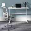 Manuāli regulējams galds Ergo Office, maks. 40 kg, maks. augstums 117 cm, ar virsmu darbam stāvus un sēdus, ER-401 W