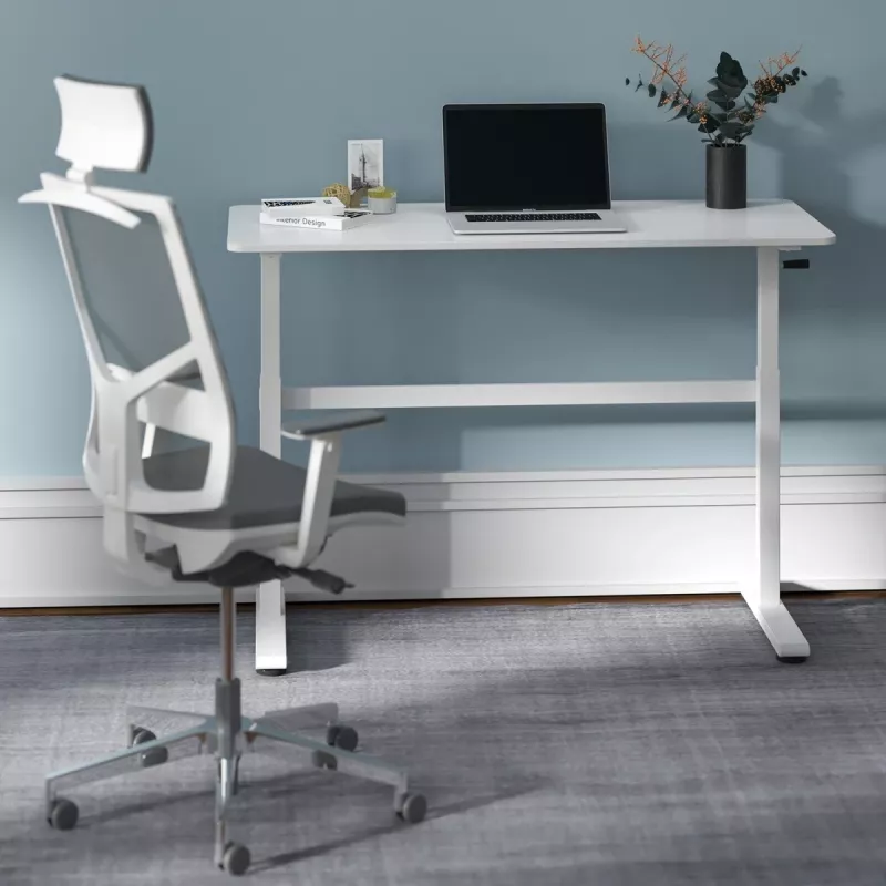 Manuāli regulējams galds Ergo Office, maks. 40 kg, maks. augstums 117 cm, ar virsmu darbam stāvus un sēdus, ER-401 W