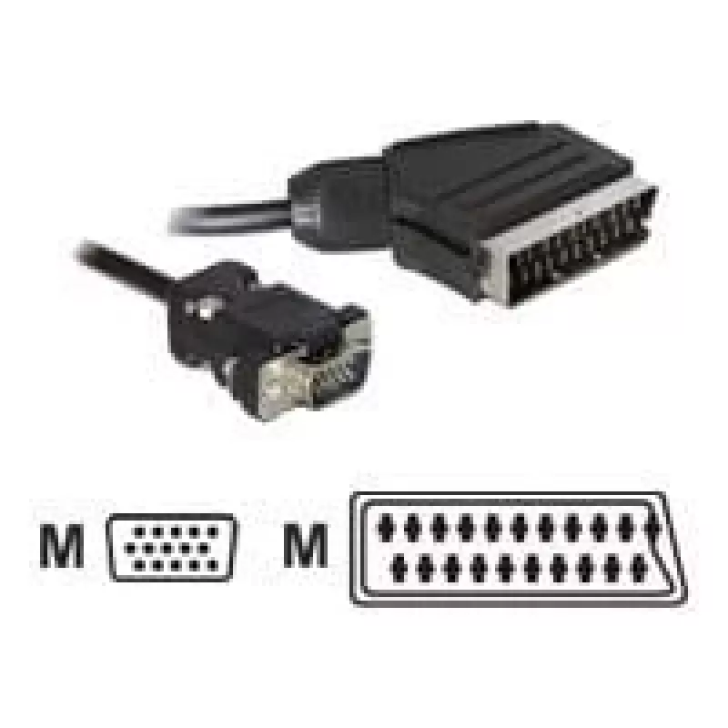Video kabeļa adapteris DeLOCK 65028 SCART (21-pin) uz VGA (D-Sub) 2 m