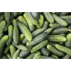 Wisconsin Cucumber SMR 58 Toraf dārzeņu sēklas, 5g iepakojums