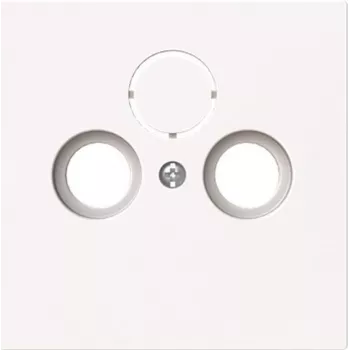 BUSCH-JAEGER 1743-44G centrālā vāciņa plāksne Antena 2/trīsvietīga (2CKA001724A4432)