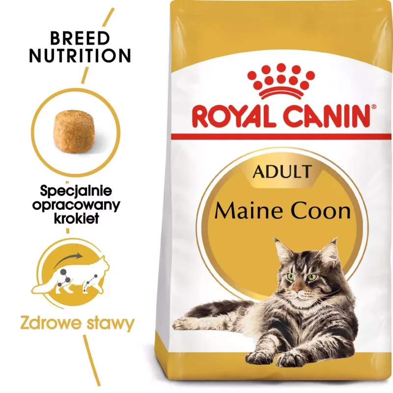 Royal Canin FBN Maine Coon Adult sausā kaķu barība, 4 kg