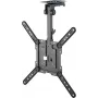 Goobay TV-Ceiling Mount Basic (M), melns (70824)