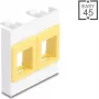 Montāžas rāmis DELOCK Easy 45 Module 2x Keystone turētāji 45×45 mm balts / dzeltens