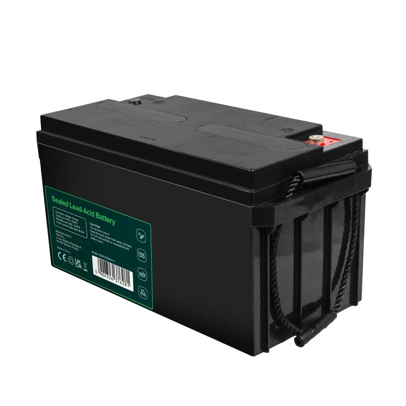 Baterija AGM VRLA 12V 65Ah IP54