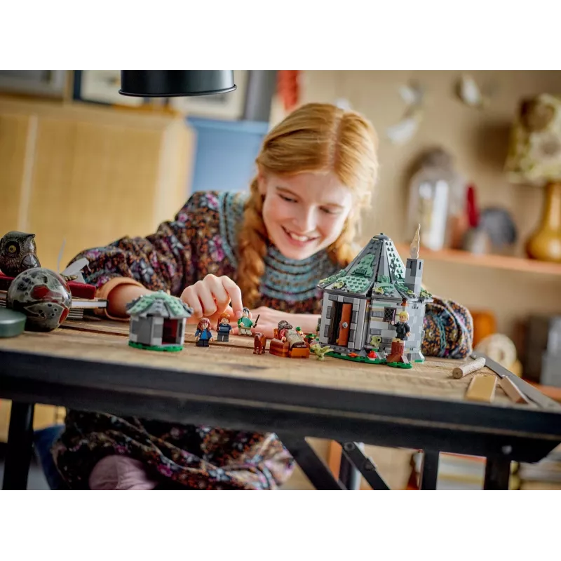 LEGO HARRY POTTER 76428 Hagrida būda - Negaidīts apmeklējums