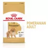 Sausā suņu barība Royal Canin Pomeranian Adult 3 kg — mazšķirnes formula pieaugušiem Pomerānijas špicam