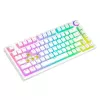 MEHĀNISKĀ TASTATŪRA SAVIO