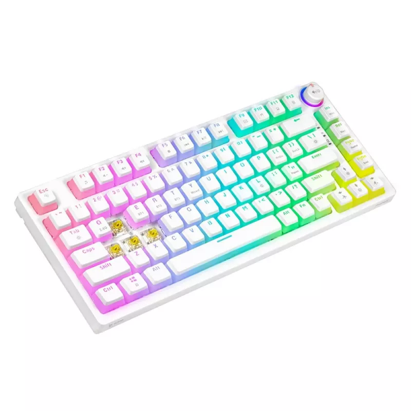 MEHĀNISKĀ TASTATŪRA SAVIO