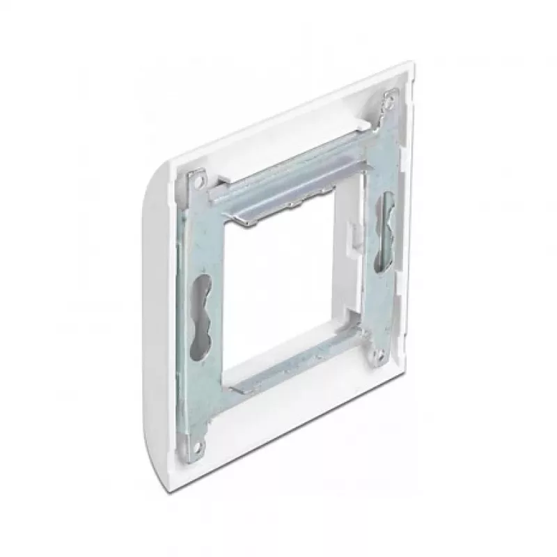 Moduļu turētājs DeLOCK Easy 45 80x80 mm Balts