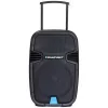 Blaupunkt PA12 portatīvais skaļrunis 650 W Stereo portatīvais skaļrunis Melns